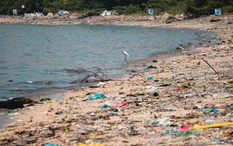 Día Mundial del Medioambiente: seguimos luchando y perdiendo contra el plástico