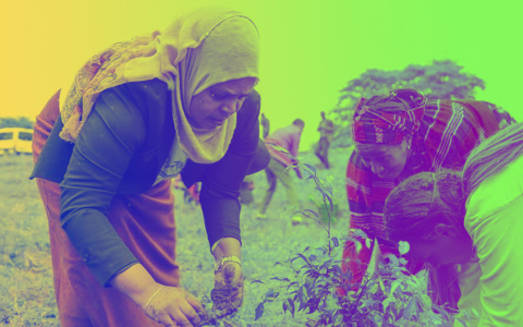 Histórico: Etiopía planta más de 350 millones de árboles en 12 horas