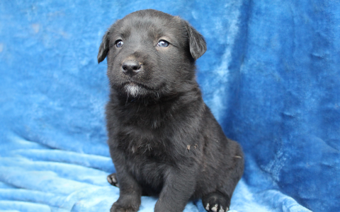 Doning es el crowdfunding  que promete cambiar Chile