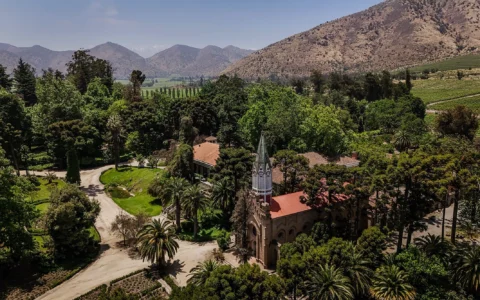 Forbes eligió a Santa Rita como la mejor viña del mundo